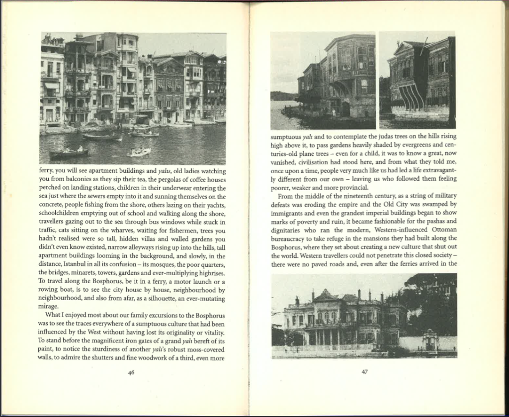 Georges Rodenbach, Bruges-la-Morte – Writing with Images